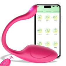 Couple Remote Vibrator Sex Toy for Women Price in Pakistan